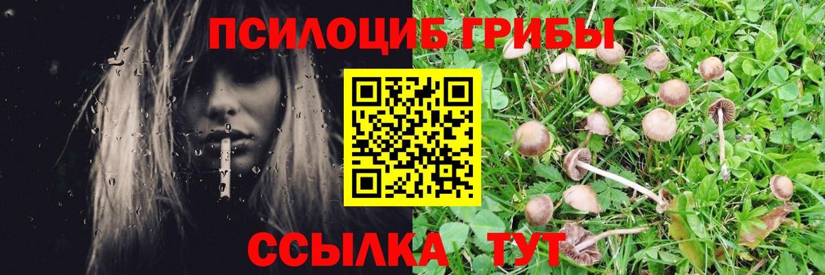 Галлюциногенные грибы GOLDEN TEACHER  Вход с VPN  Екатеринбург 